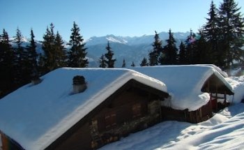 Swiss Real Estate Group