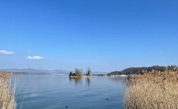 Immona Immobilien Marketing GmbH