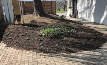 Schlatter Immobilien & Consulting AG