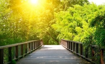 Immobau 4u AG Immobilien by Claudio Peter Verkauf und Verwaltung