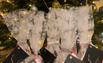 SCANDERBEG IMMOBILIEN GmbH