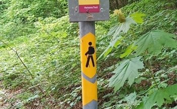 S.I. du Domaine de Voëns S.A.