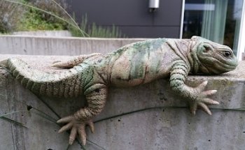 Wohnbaugenossenschaft Solarsiedlung Riedholz