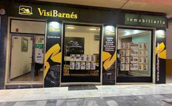 INMOBILIARIA VISI BARNES