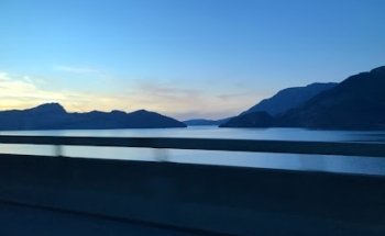 Marianne Steinmann Arnold