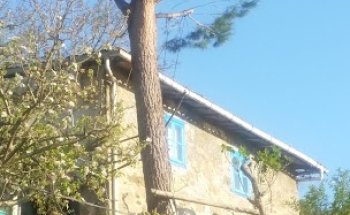 Inmobiliaria Monfortina