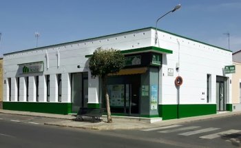 Inmobiliaria Montijo