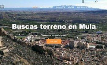 Inmobiliaria Niño de Mula