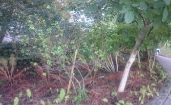 Strassengenossenschaft Rietli c/o Martin Dick