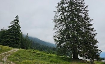 PMC Immobilien Consulting GmbH