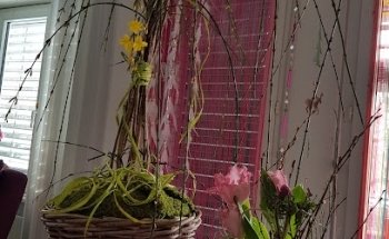 Eisenbahner Baugenossenschaft Solothurn