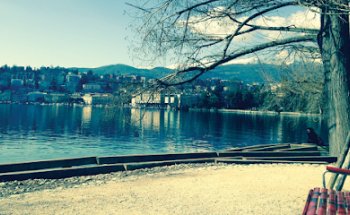 Fiduciaria Immobiliare Börner-Albertini