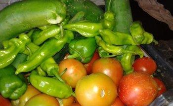 Aceitunas Juan Manuel Colchero