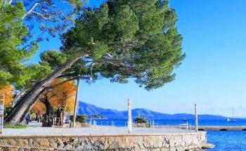 Pine walk Apartments