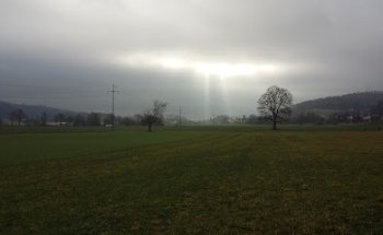 Mobilis Immobilien AG