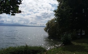 MSP Management Services SA