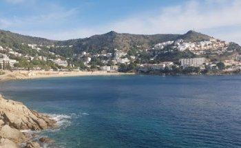 Global Immo Roses, S.L.