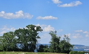 Centron Immobilien AG