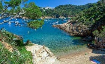 Immobiliària Rocamar