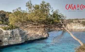 Casa & Co immobilien Santanyí