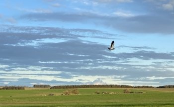 Escritorio Arrospide