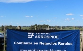 Escritorio Arrospide