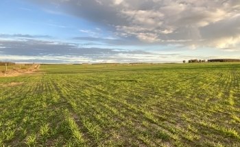 Escritorio Arrospide