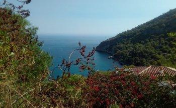 Spanish Real Estate Malaga