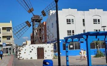 City House Real Estate