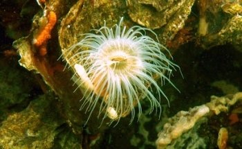 Zeeland Vakantiewoningen