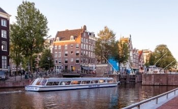 Bloomstone Real Estate