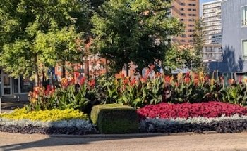 Aquina Hollanders Makelaars | Makelaar Heerlen