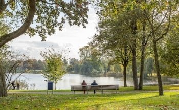 Viermakelaars Den Bosch