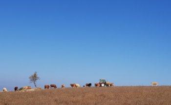 Grupo Q Gestión Inmobiliaria - Vejer de la Frontera