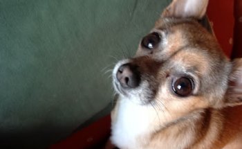 inmobiliaria abp altozano