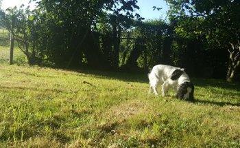 La Casa de San Justo