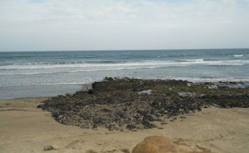 Inversiones la Jaquita S.L.