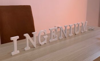 Ingenium Centro Inmobiliario