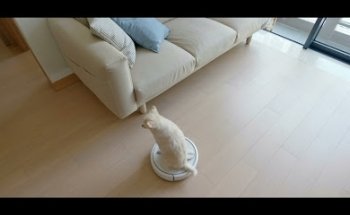 B+B Der Immobilienmakler (eine Marke der Blömer & Bornhorst OHG)