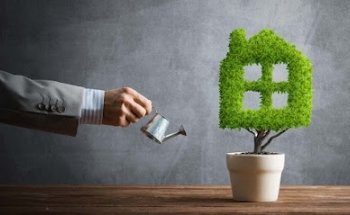 F.T. Immobilien Hausverwaltungen GmbH