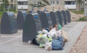 Dawonia Management GmbH