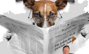 Wolfgang Pauly Immobilien GmbH