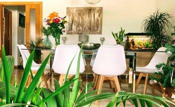 Exclusivas Santo Mauro