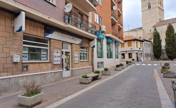 Solinmo Consultora Inmobiliaria