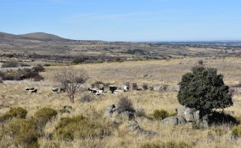 A6-60 Inmobiliaria La Estación Del Espinar