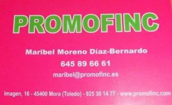 Promofinc Inmobiliaria