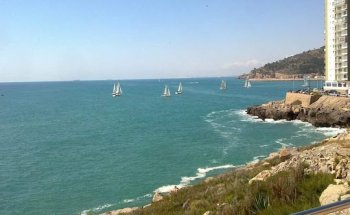 Nunu Oropesa Inmobiliaria