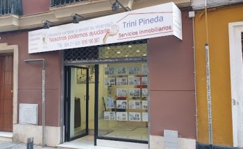 Trini Pineda Servicios Inmobiliarios