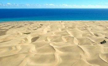 HomeLike Agencia de Gestión de alquiler Vacacional en Gran Canaria