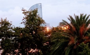 Reapart Immobilia S.L.